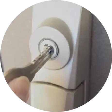 ディンプルキーの写真